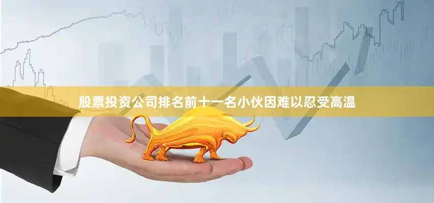 股票投资公司排名前十一名小伙因难以忍受高温